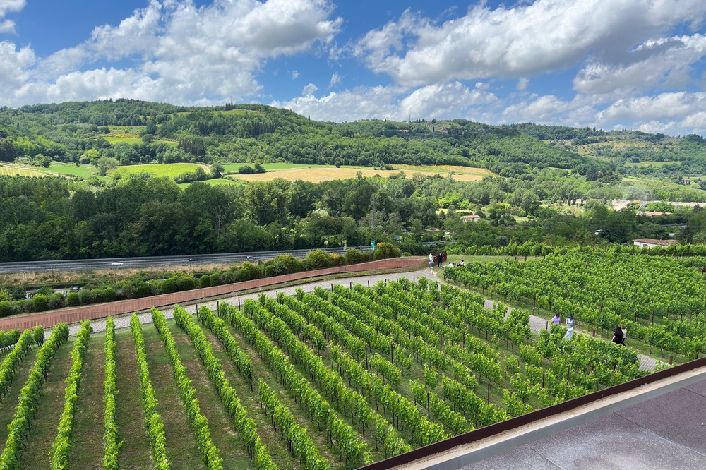 Al via l'Expo Chianti Classico con 64 espositori