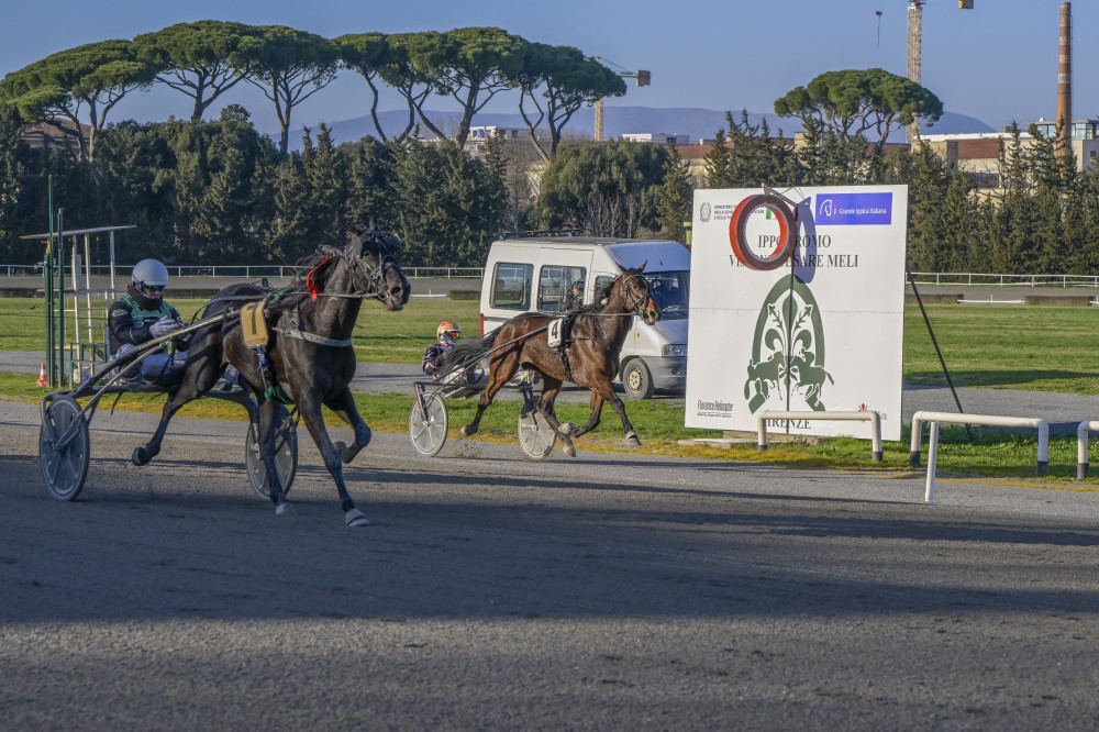 Firenze Galoppo, Dario Di Tocco leader della prima parte del 2026