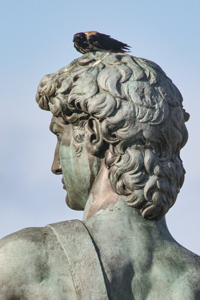 A Firenze il David si illumina di blu per Giornata mondiale fibrosi cistica