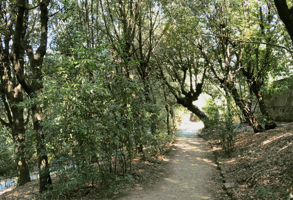 Villa la Quiete, riapre la mostra sulla nascita del giardino