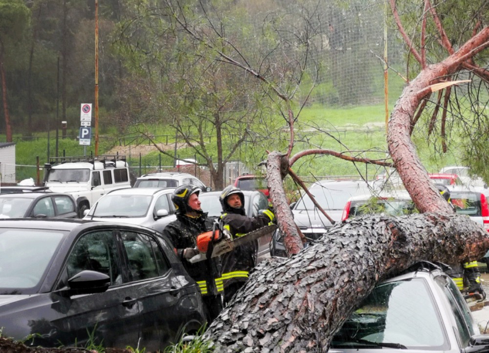 Albero cade su un camion di Alia in piazza Bartali: verifiche sulla dinamica