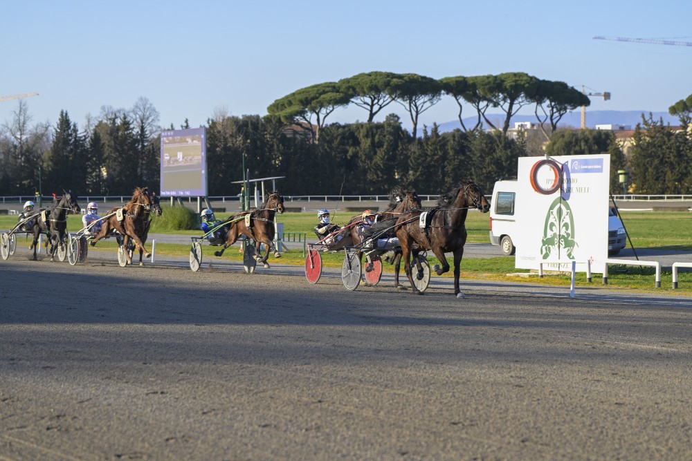 Gran galà di galoppo al Visarno con 69 cavalli in gara