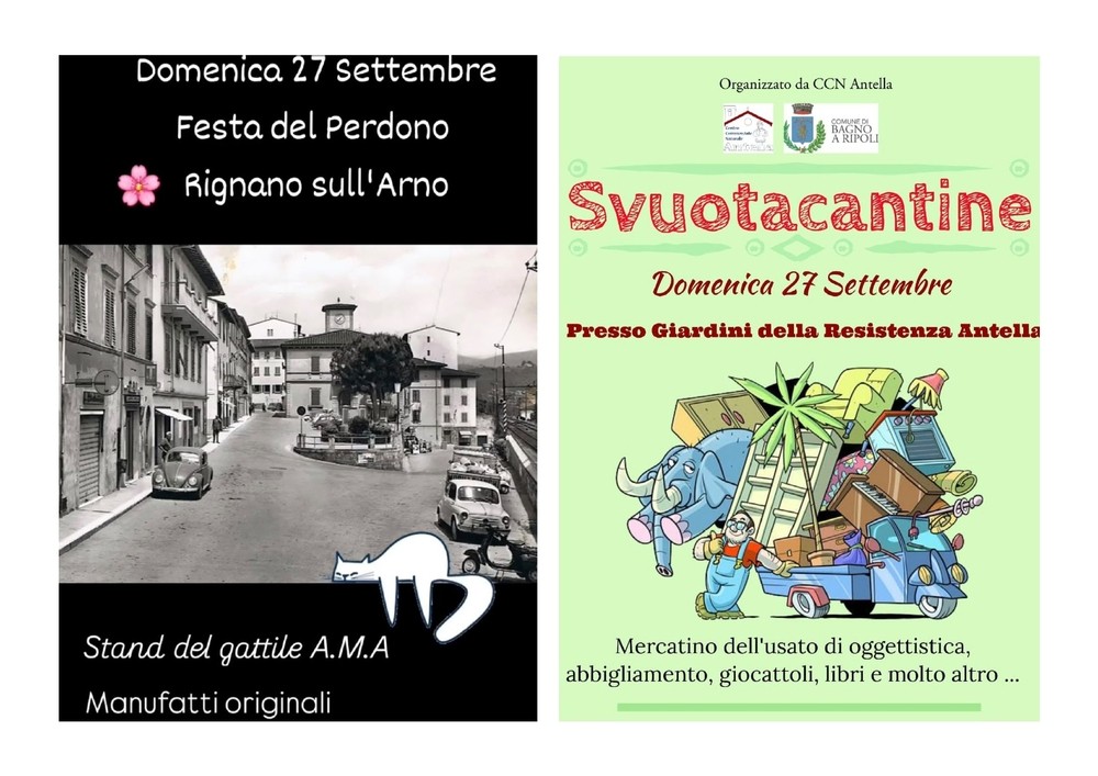 Domenica 27 settembre: due eventi per aiutare i gatti del gattile A.M.A.