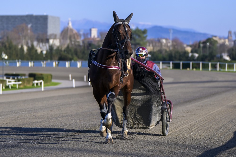 Galoppo al Visarno, domenica sette corse: spicca il Premio Tazza d’Oro