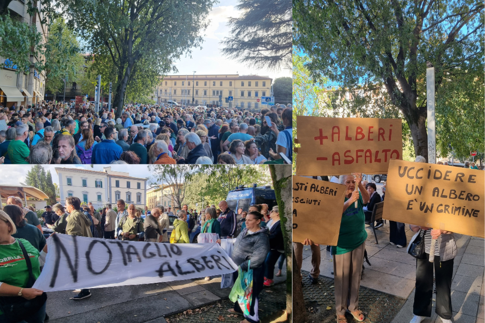 Tramvia, corteo alle Cure contro il taglio di 428 alberi: “Il verde non si taglia”