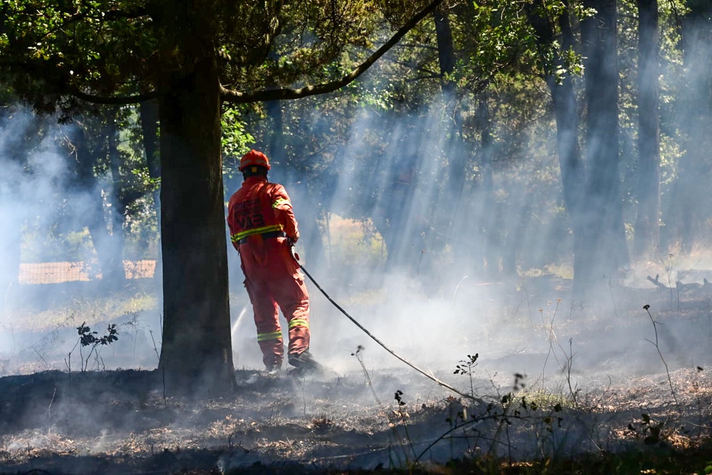 Incendi boschivi in provincia di Firenze, arrestato presunto piromane