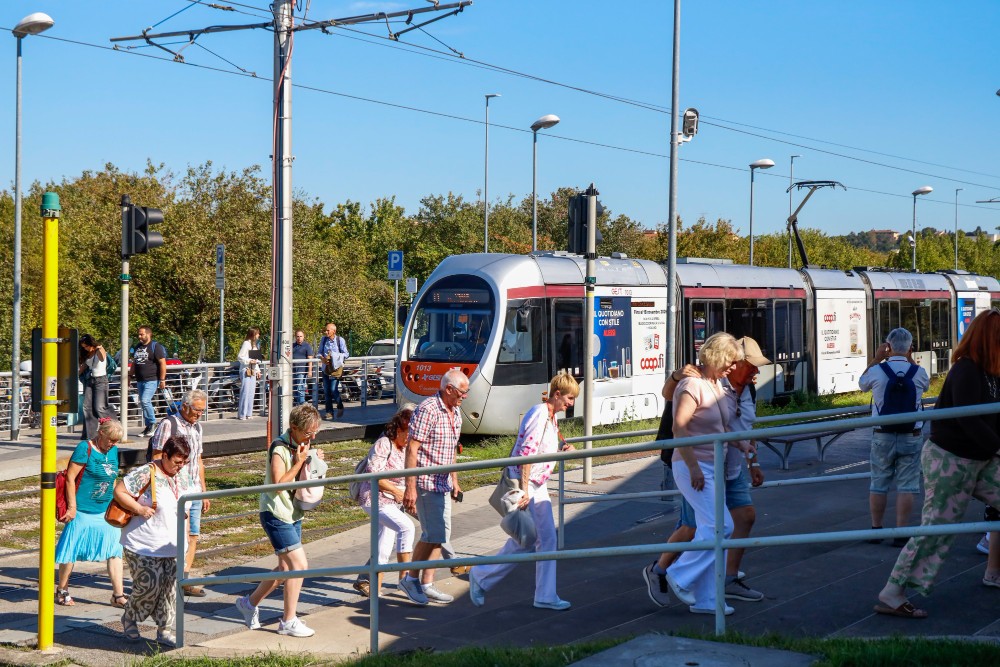 Tramvia a Campo di Marte, oltre 1.100 firme contro il taglio degli alberi
