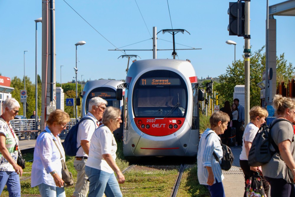 Tramvia a Campo di Marte, 3.100 firme contro il taglio degli alberi